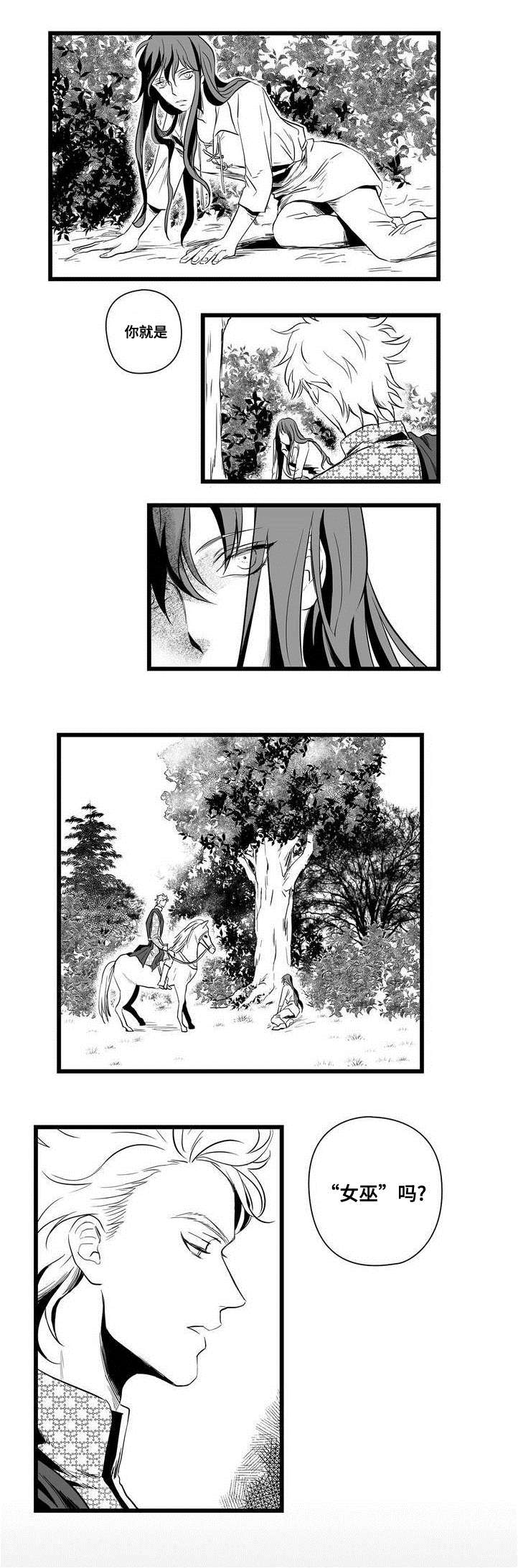 《巫师与王子》第1章女巫 第12页