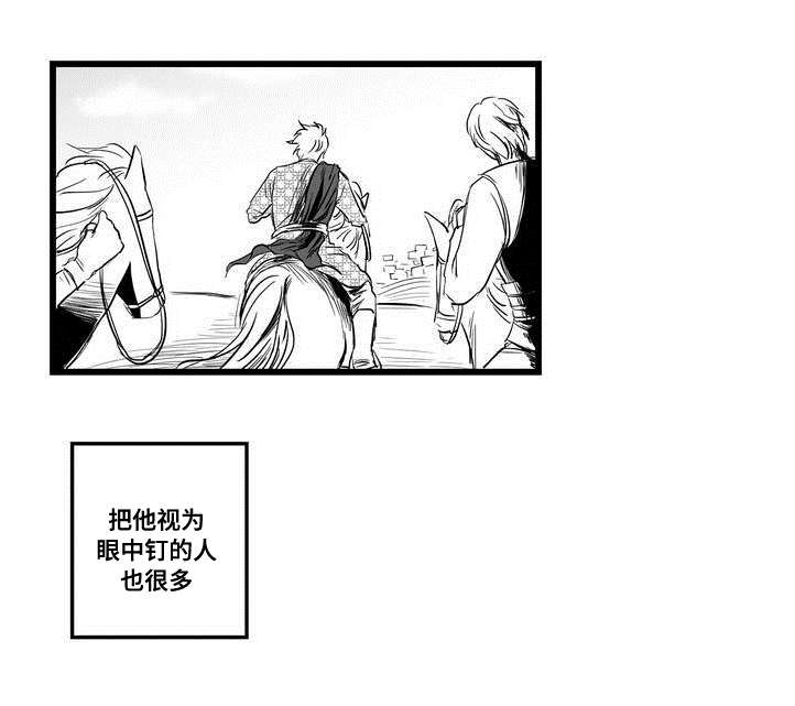 《巫师与王子》第1章女巫 第2页