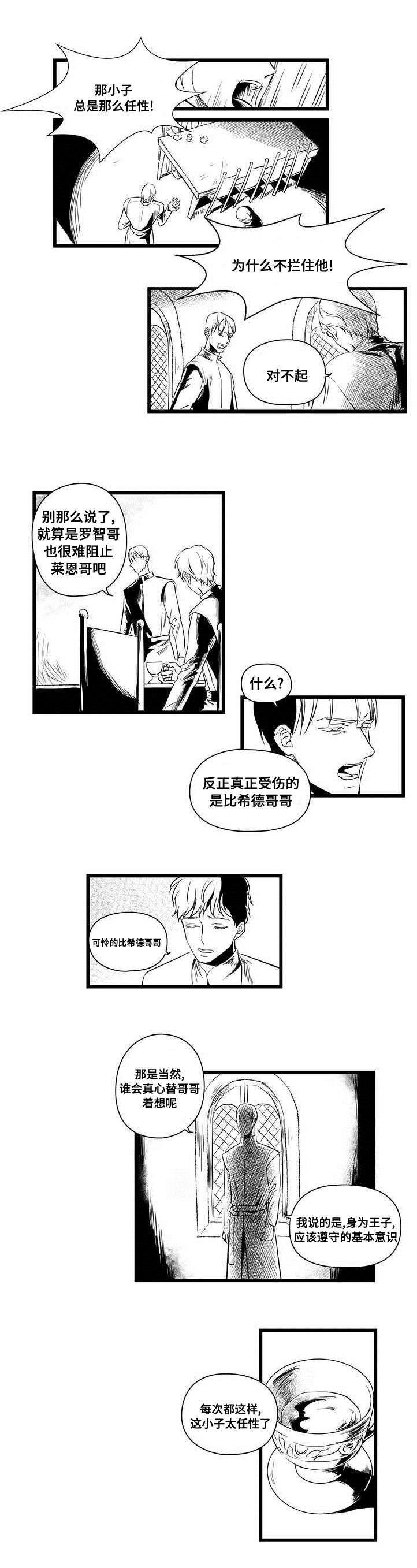《巫师与王子》第1章女巫 第3页