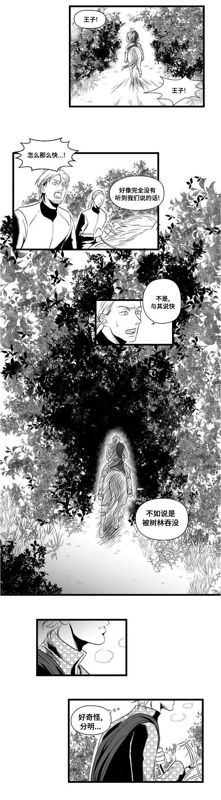 《巫师与王子》第1章女巫 第7页
