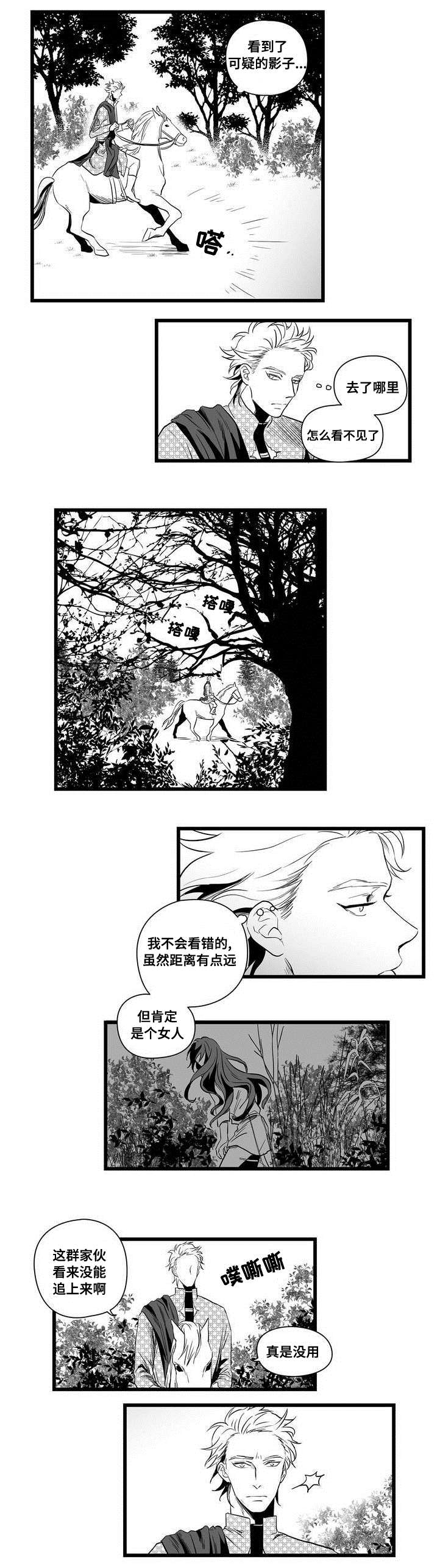 《巫师与王子》第1章女巫 第8页