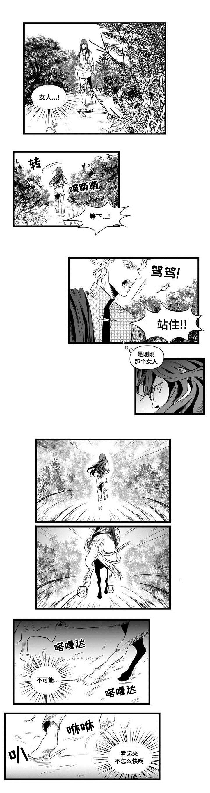 《巫师与王子》第1章女巫 第9页