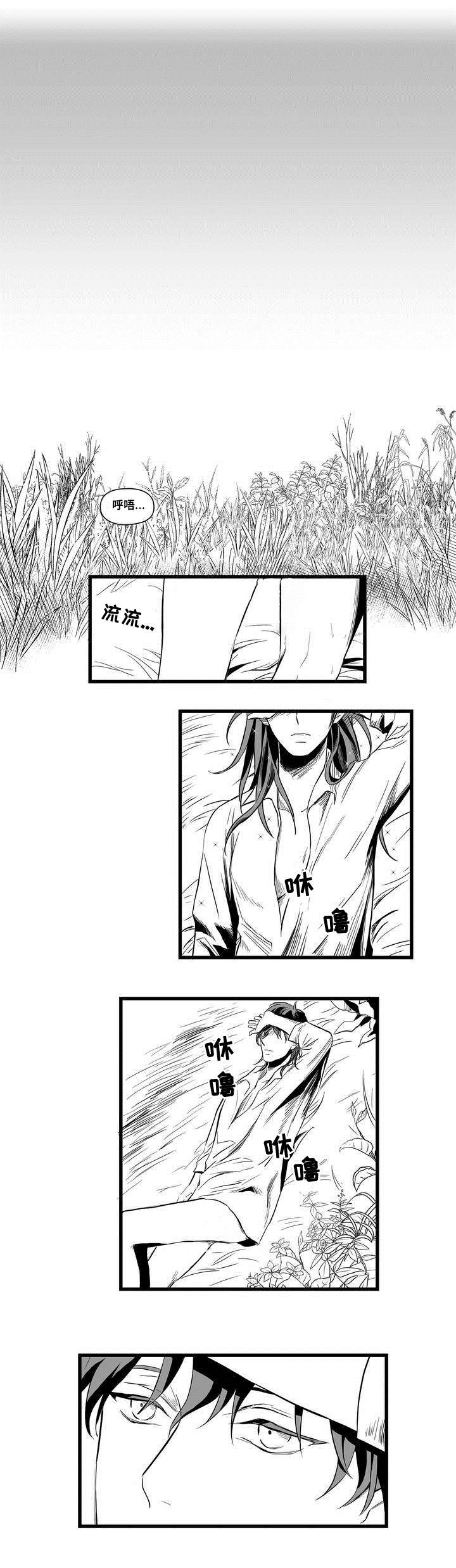 《巫师与王子》第2章失踪的士兵 第11页