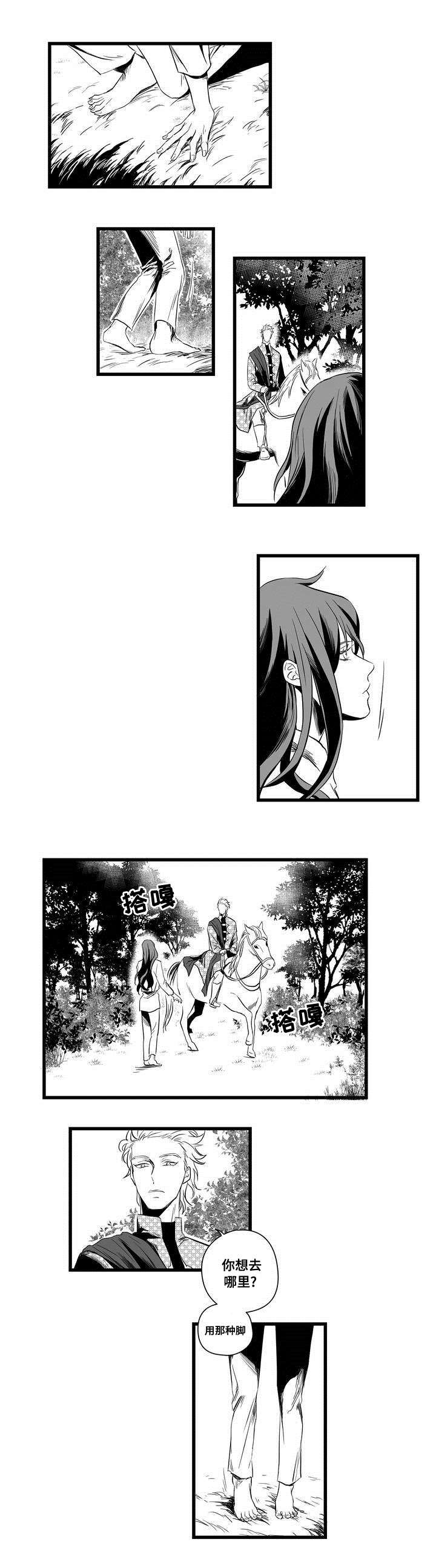《巫师与王子》第2章失踪的士兵 第1页