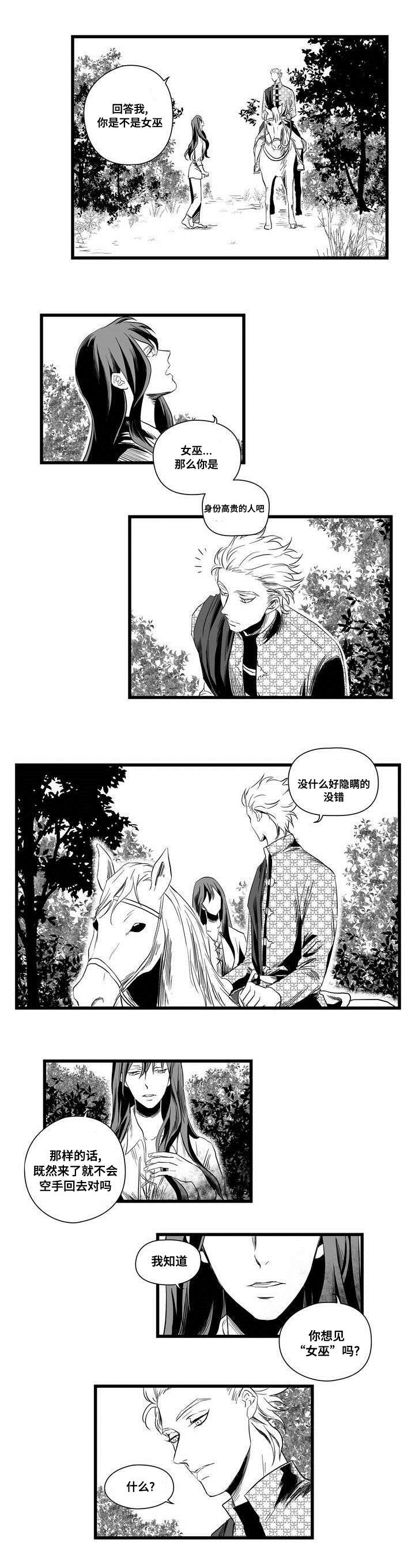 《巫师与王子》第2章失踪的士兵 第2页