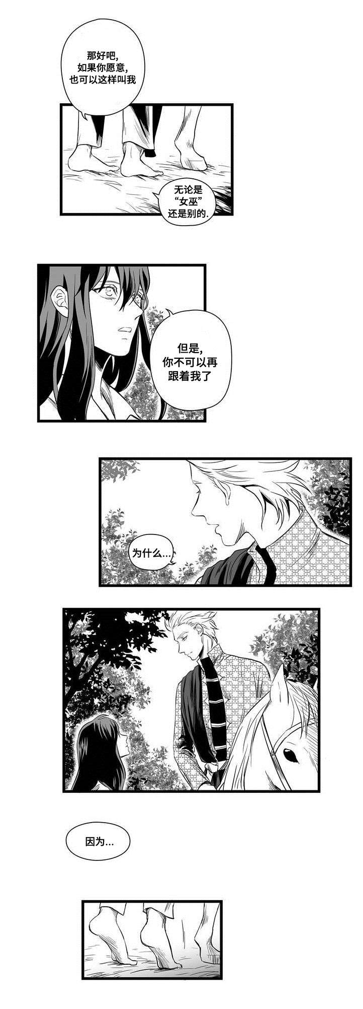 《巫师与王子》第2章失踪的士兵 第3页