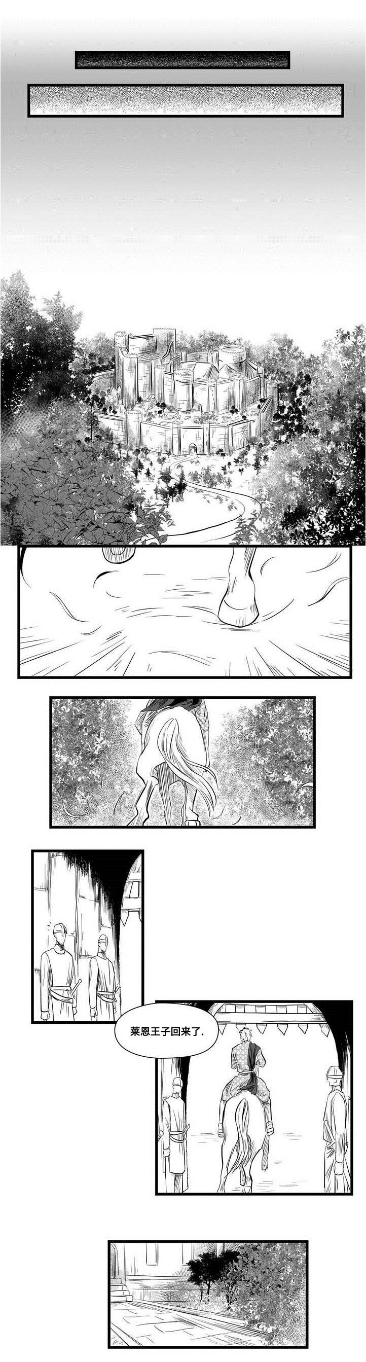 《巫师与王子》第2章失踪的士兵 第4页