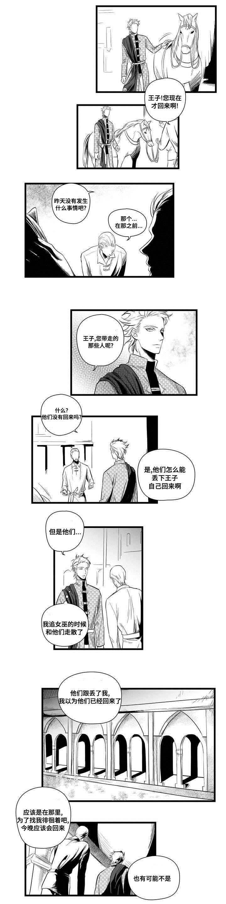 《巫师与王子》第2章失踪的士兵 第5页