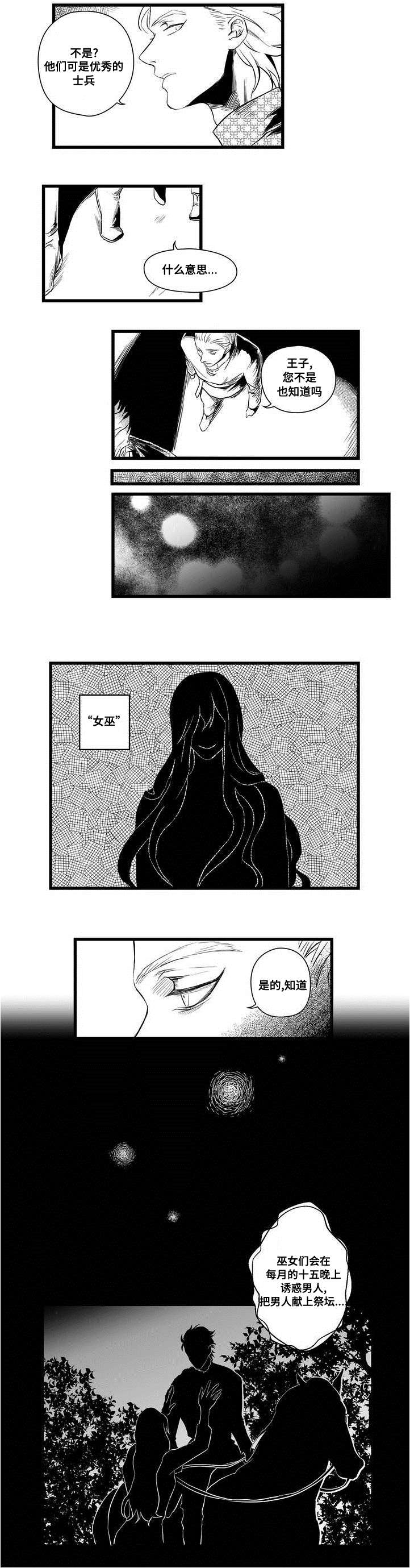 《巫师与王子》第2章失踪的士兵 第6页