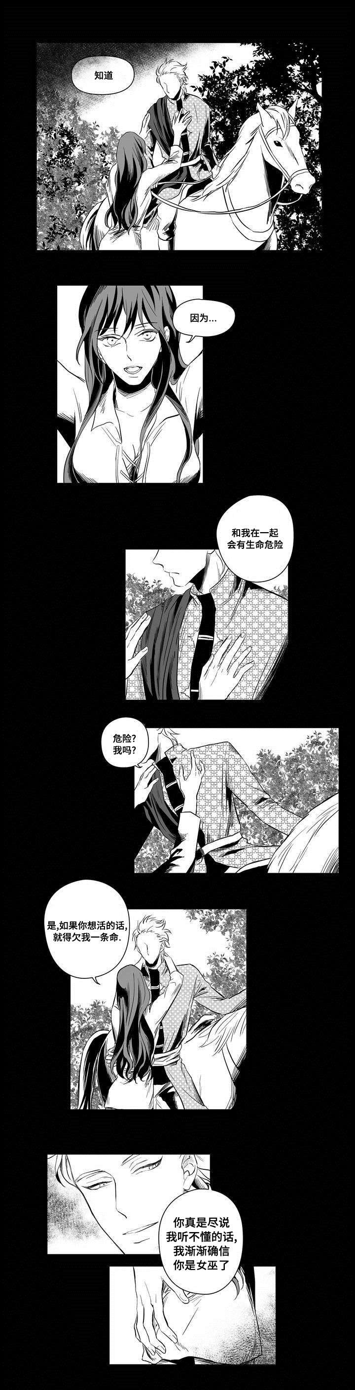 《巫师与王子》第2章失踪的士兵 第7页
