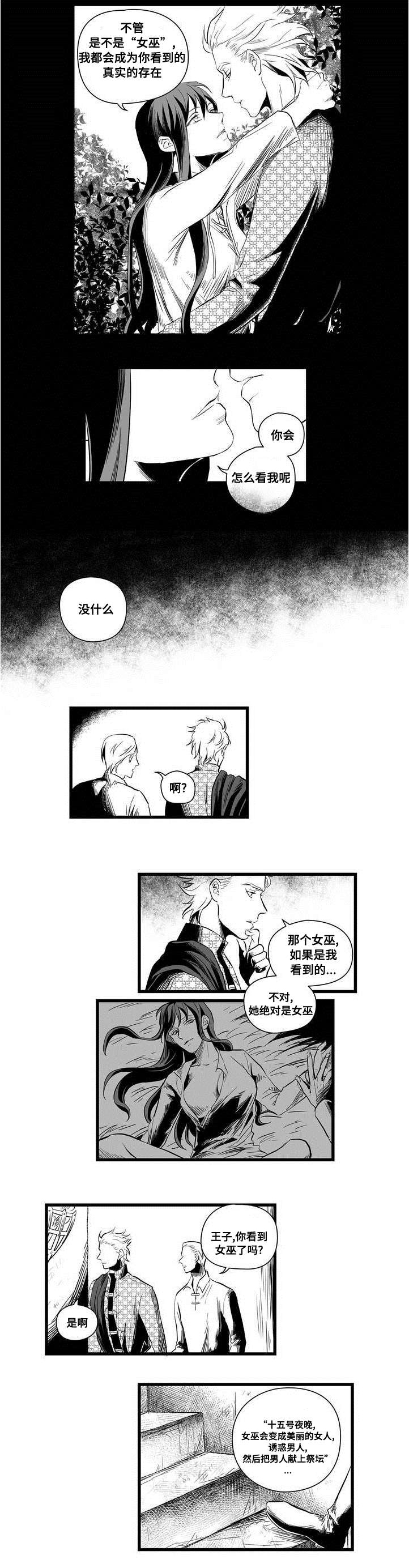 《巫师与王子》第2章失踪的士兵 第8页