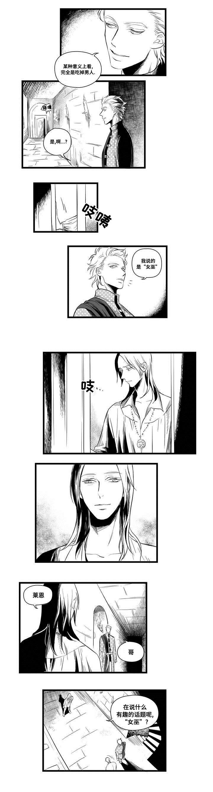 《巫师与王子》第2章失踪的士兵 第9页