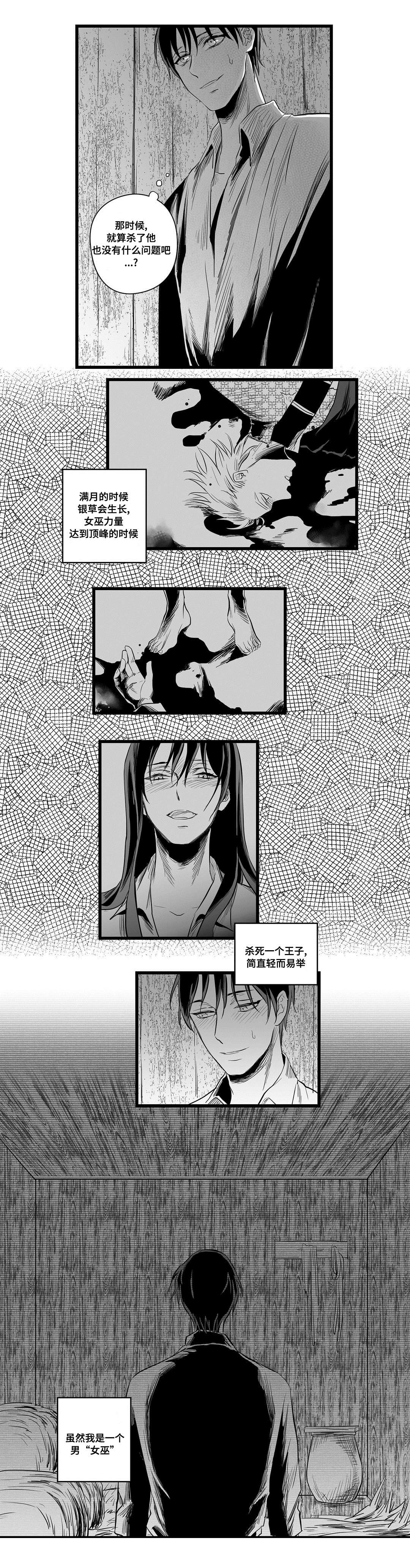 《巫师与王子》第3章特别 第9页