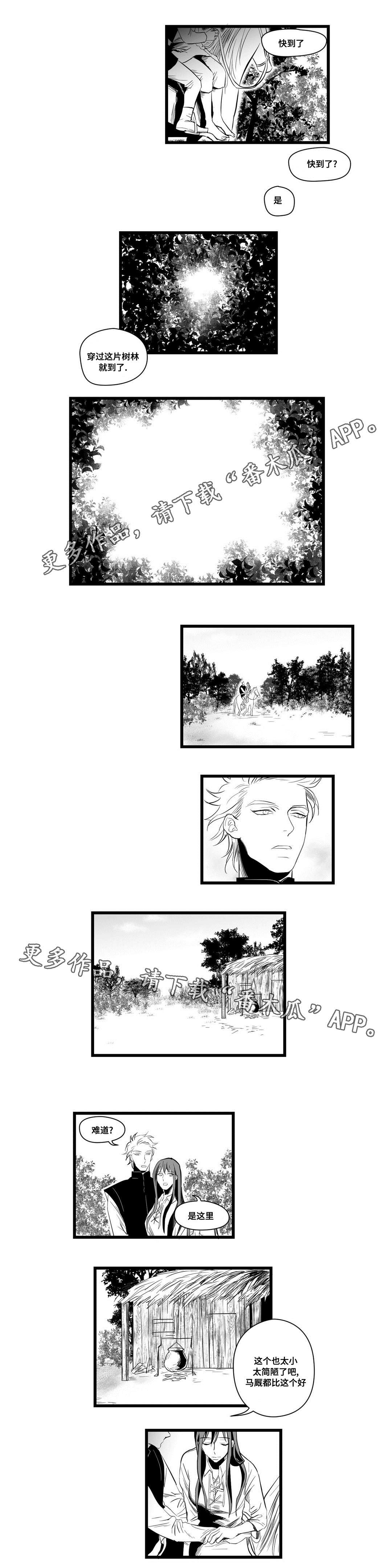 《巫师与王子》第6章危险 第2页