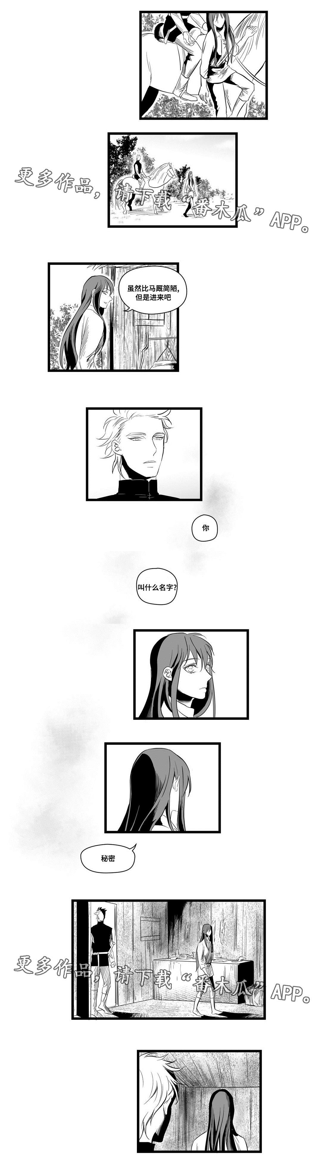 《巫师与王子》第6章危险 第3页