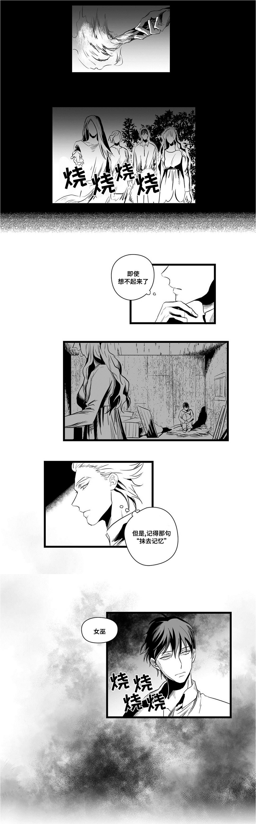 《巫师与王子》第4章记忆 第10页