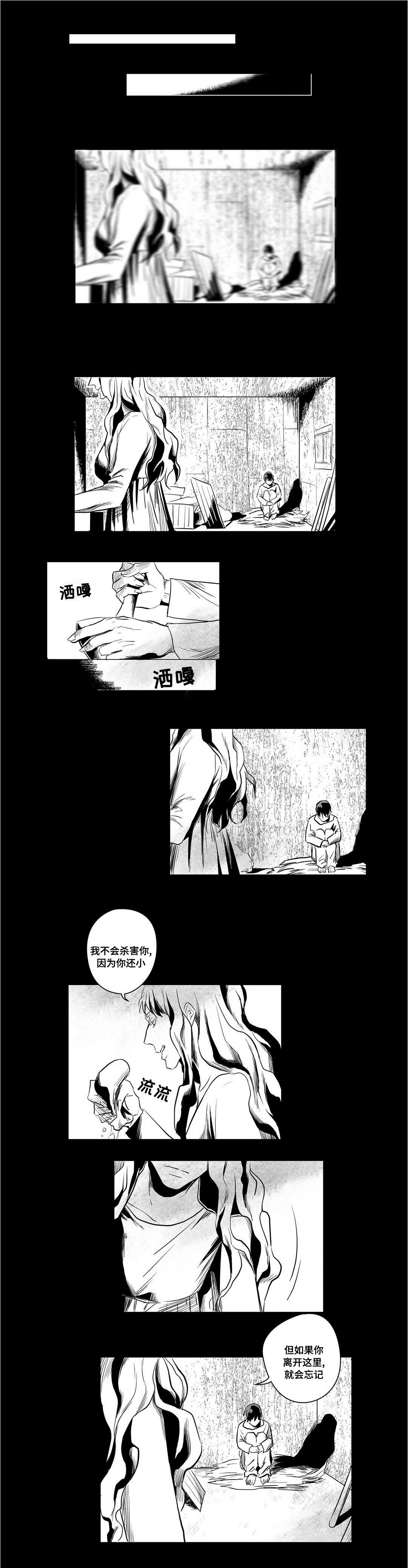 《巫师与王子》第4章记忆 第1页