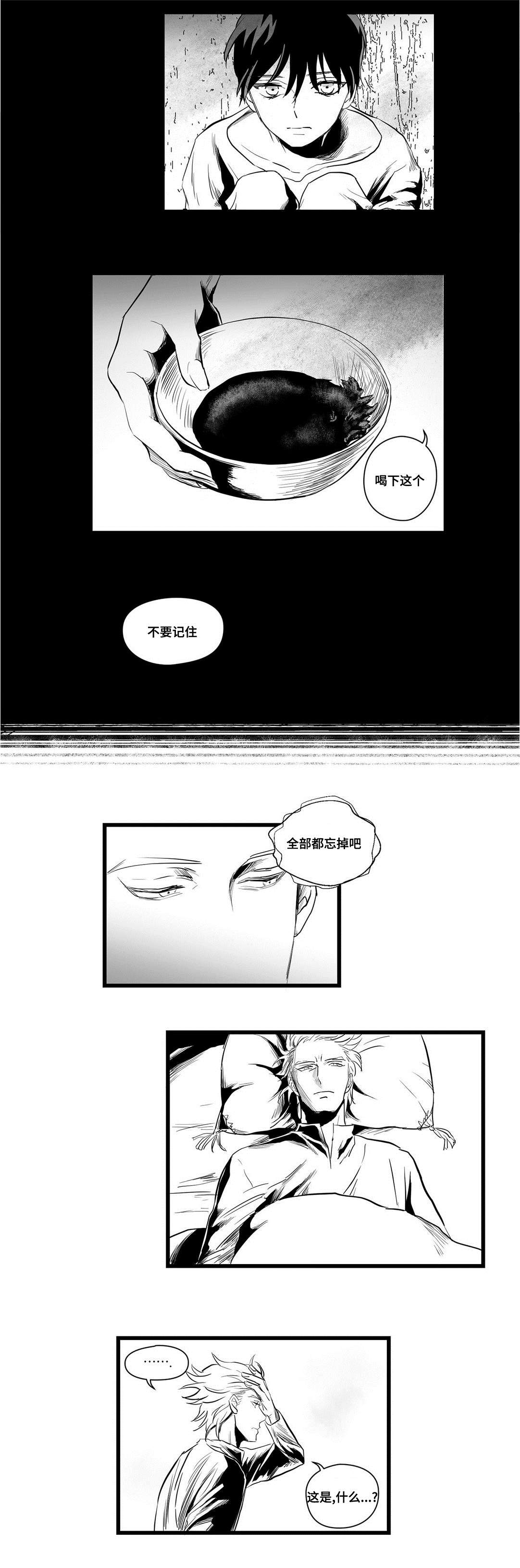 《巫师与王子》第4章记忆 第2页