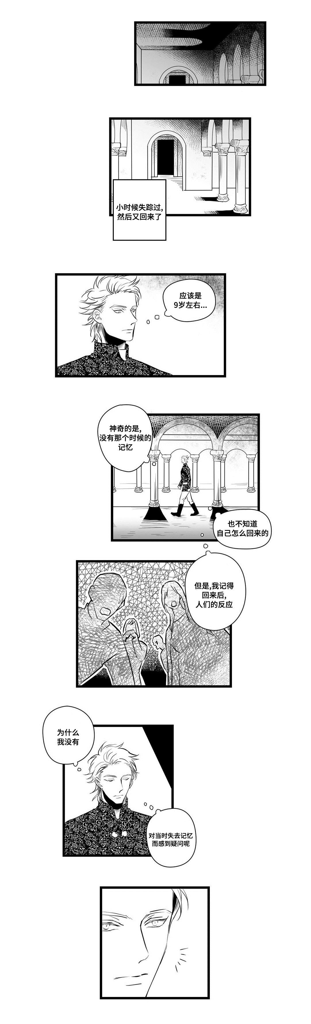 《巫师与王子》第4章记忆 第3页