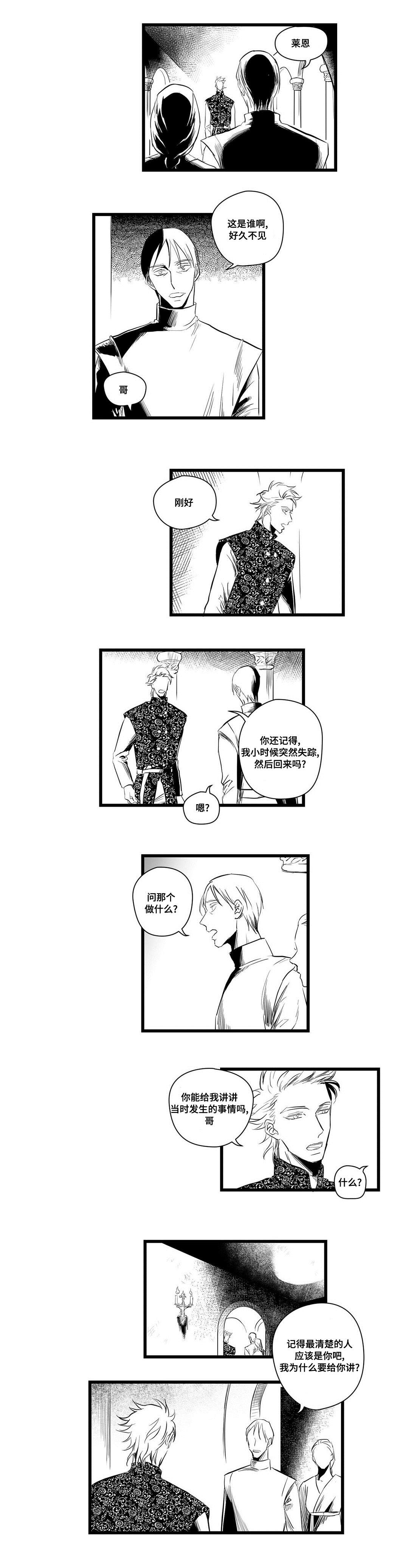 《巫师与王子》第4章记忆 第4页
