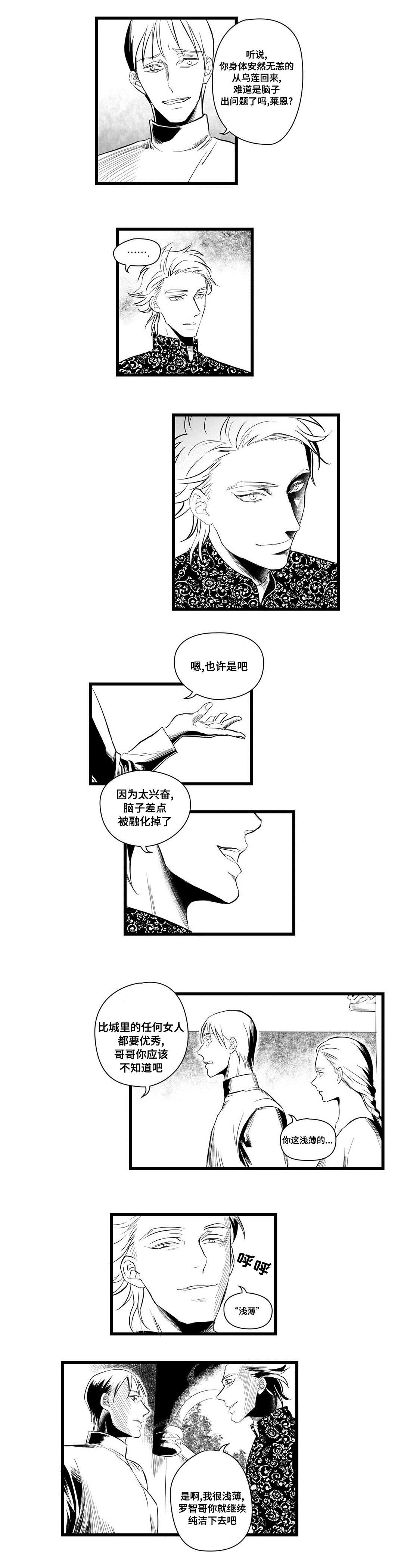 《巫师与王子》第4章记忆 第5页