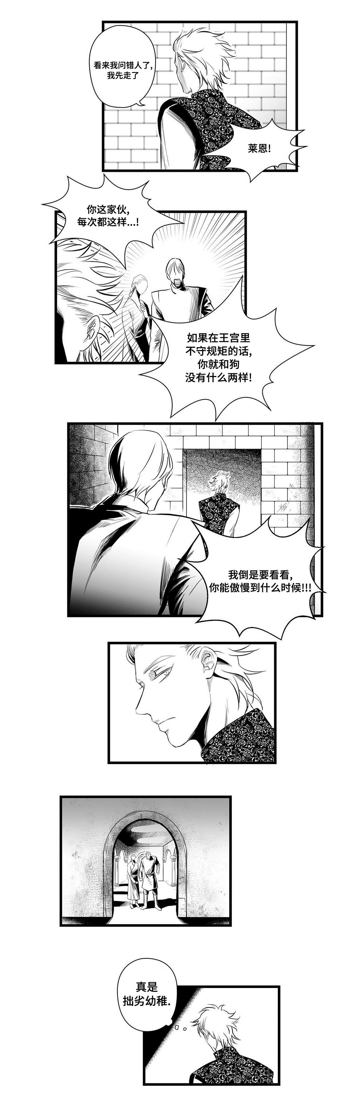 《巫师与王子》第4章记忆 第6页