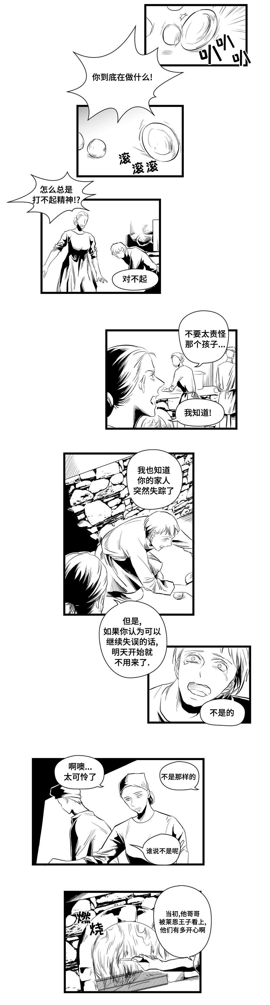《巫师与王子》第4章记忆 第8页