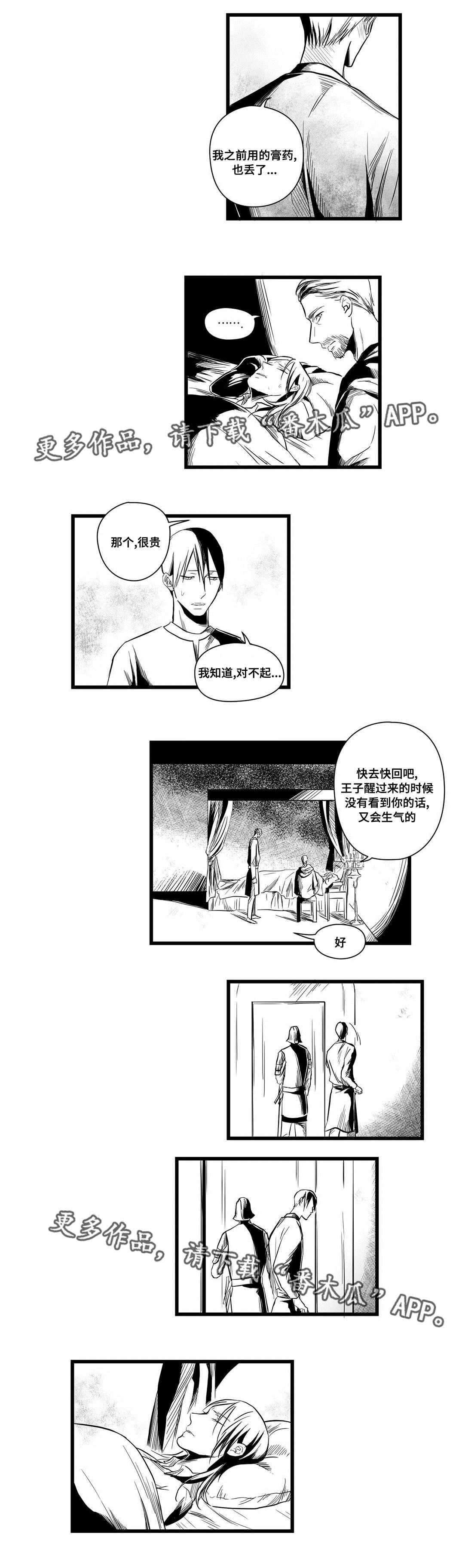 《巫师与王子》第9章违和感 第6页