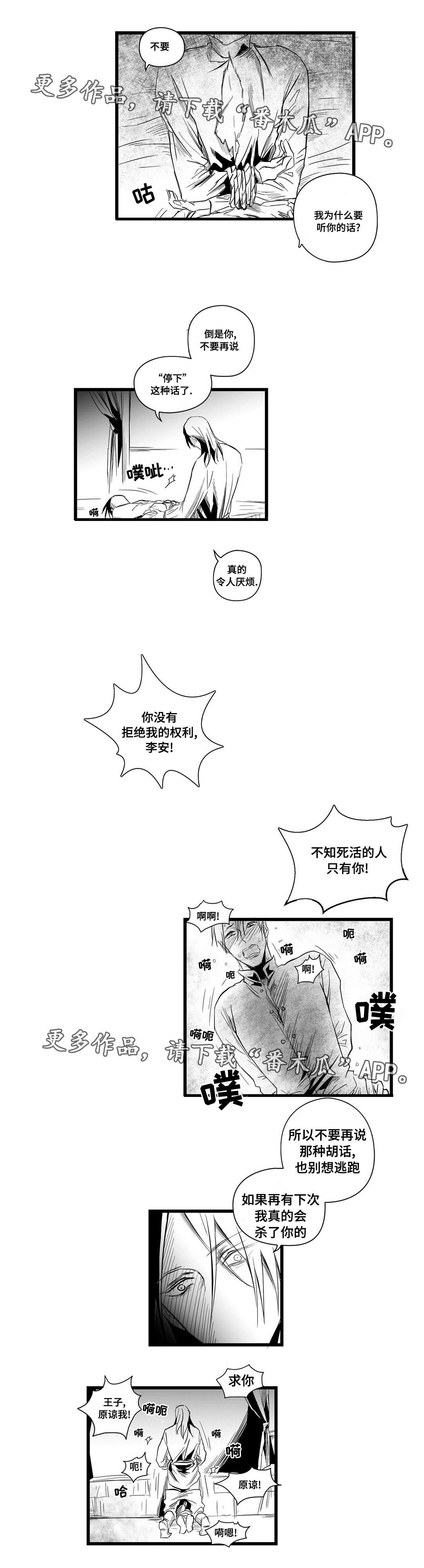 《巫师与王子》第7章逃跑 第2页