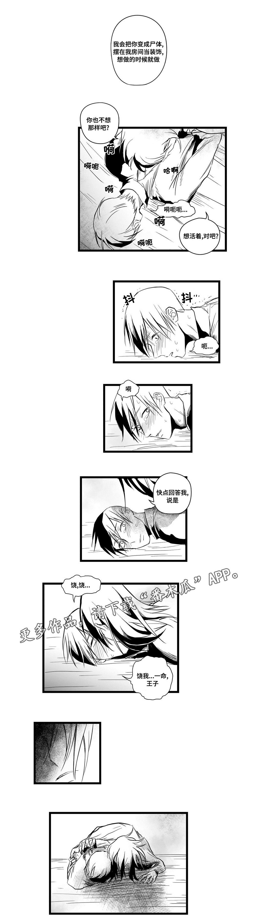 《巫师与王子》第7章逃跑 第3页