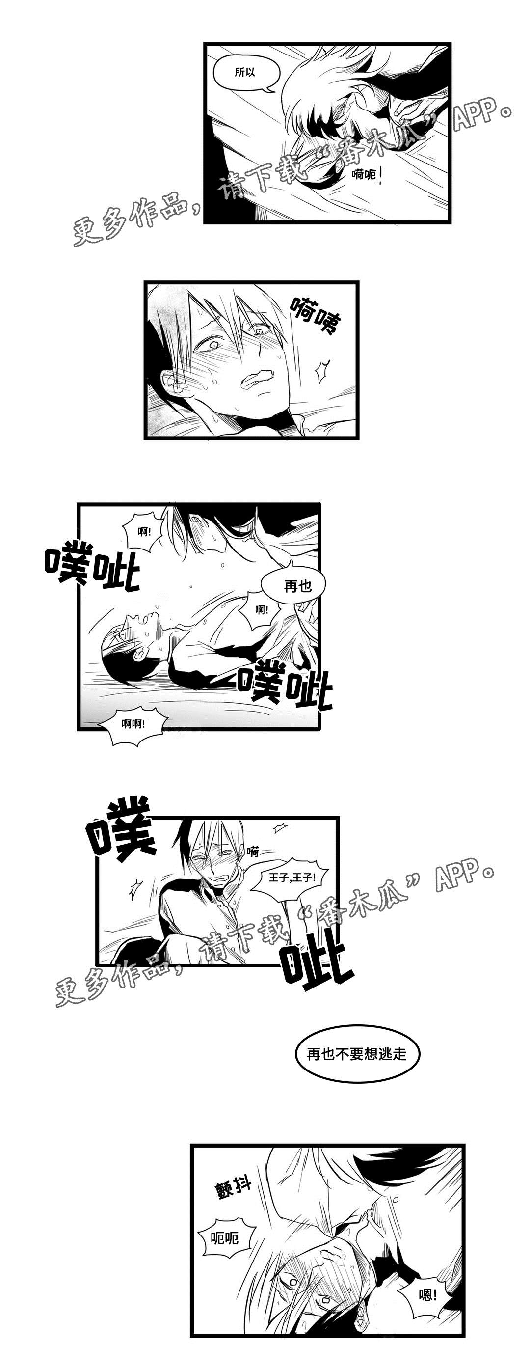 《巫师与王子》第7章逃跑 第5页