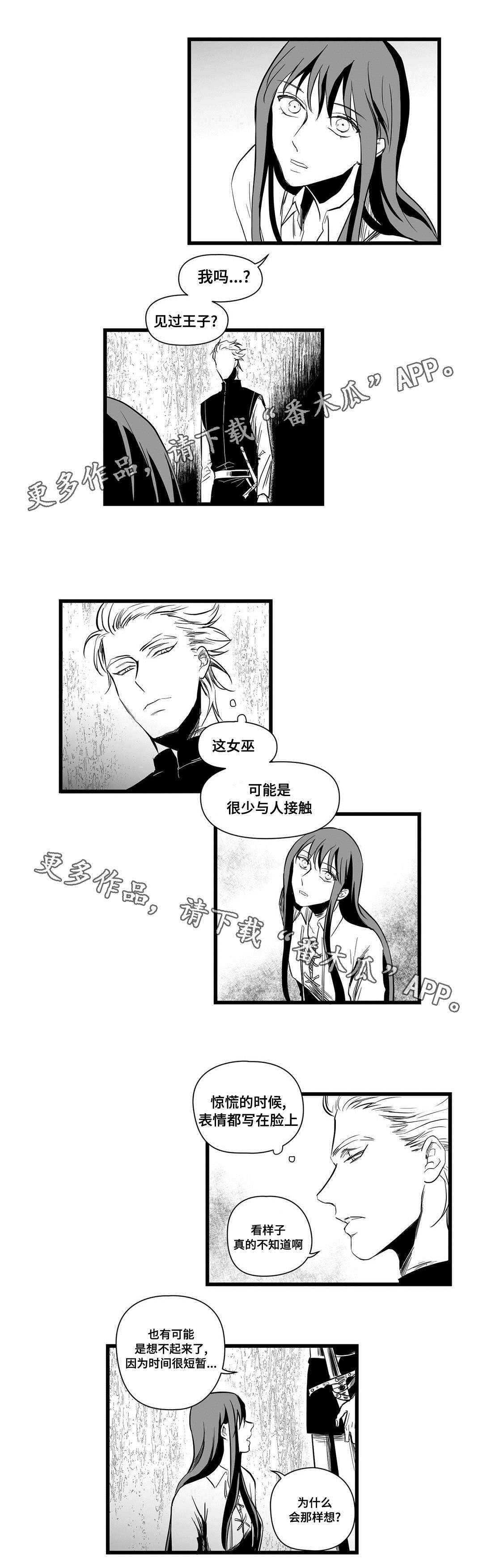 《巫师与王子》第11章秘密 第1页