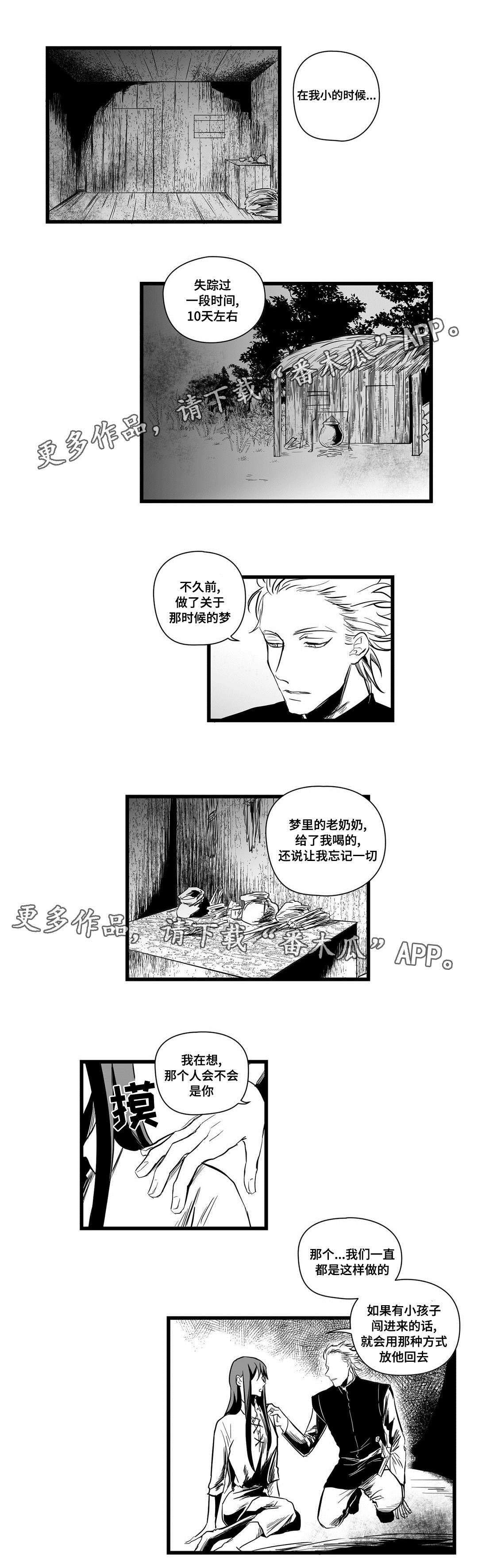 《巫师与王子》第11章秘密 第2页
