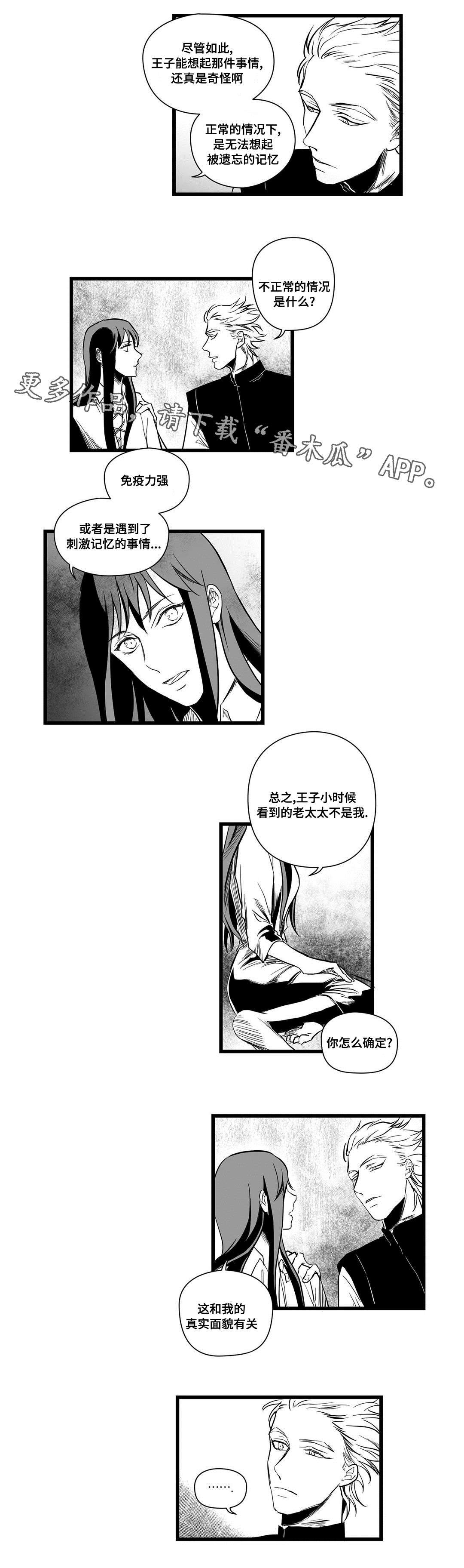 《巫师与王子》第11章秘密 第3页