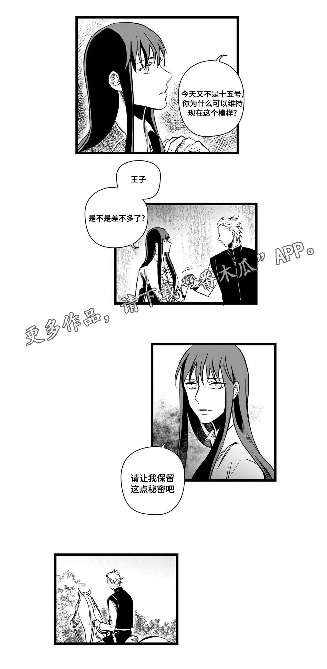 《巫师与王子》第11章秘密 第4页