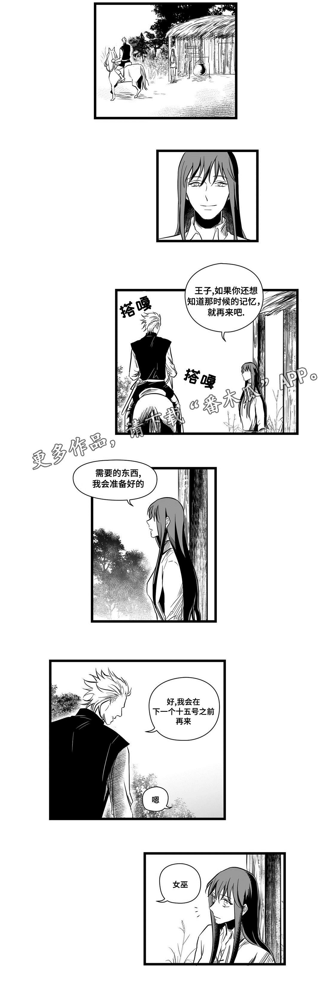 《巫师与王子》第11章秘密 第5页