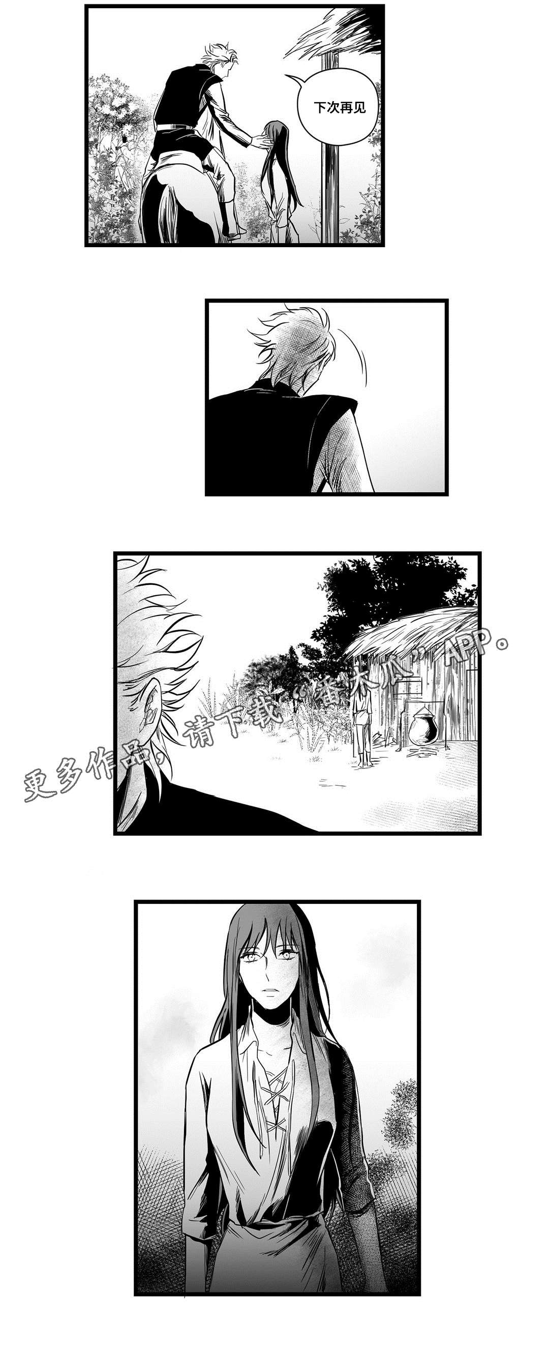 《巫师与王子》第11章秘密 第7页
