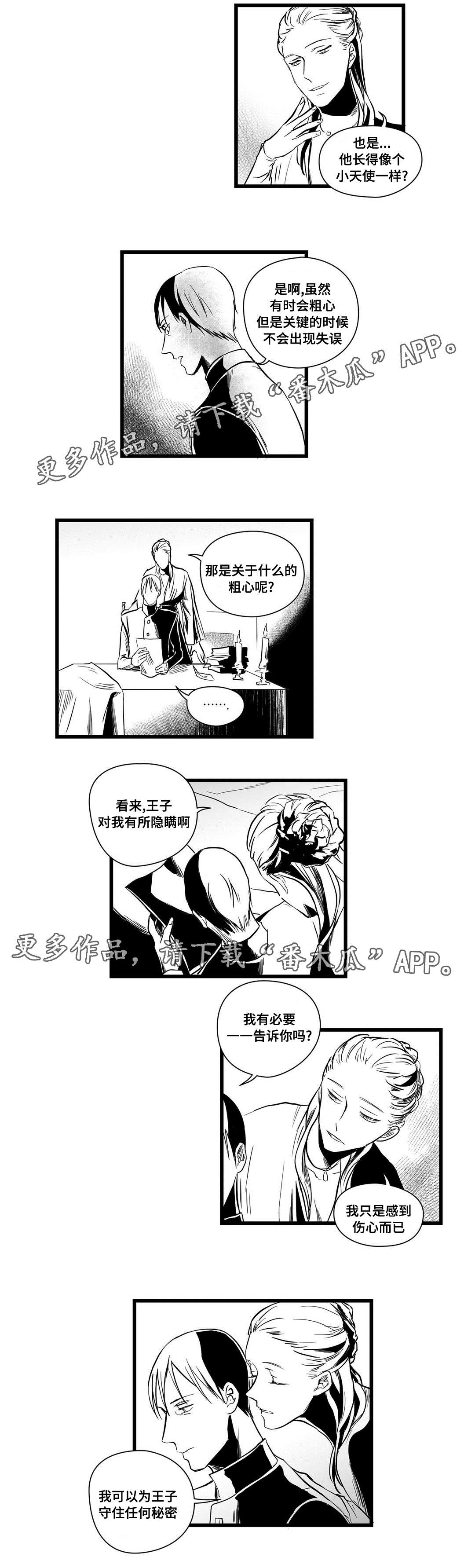 《巫师与王子》第11章秘密 第9页