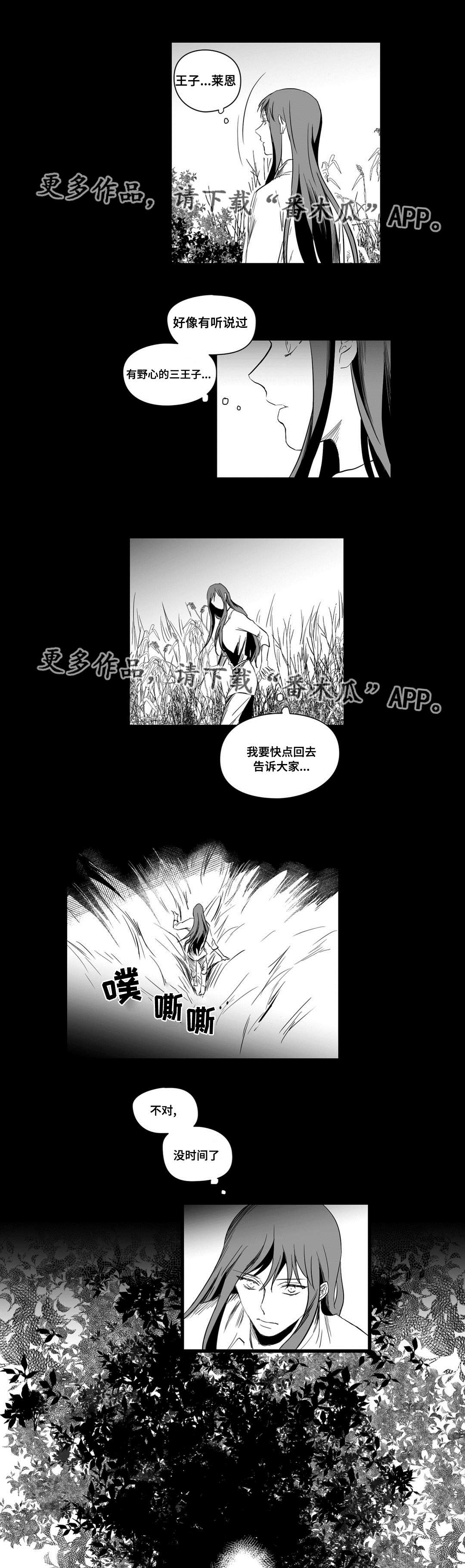 《巫师与王子》第12章错误的决定 第2页
