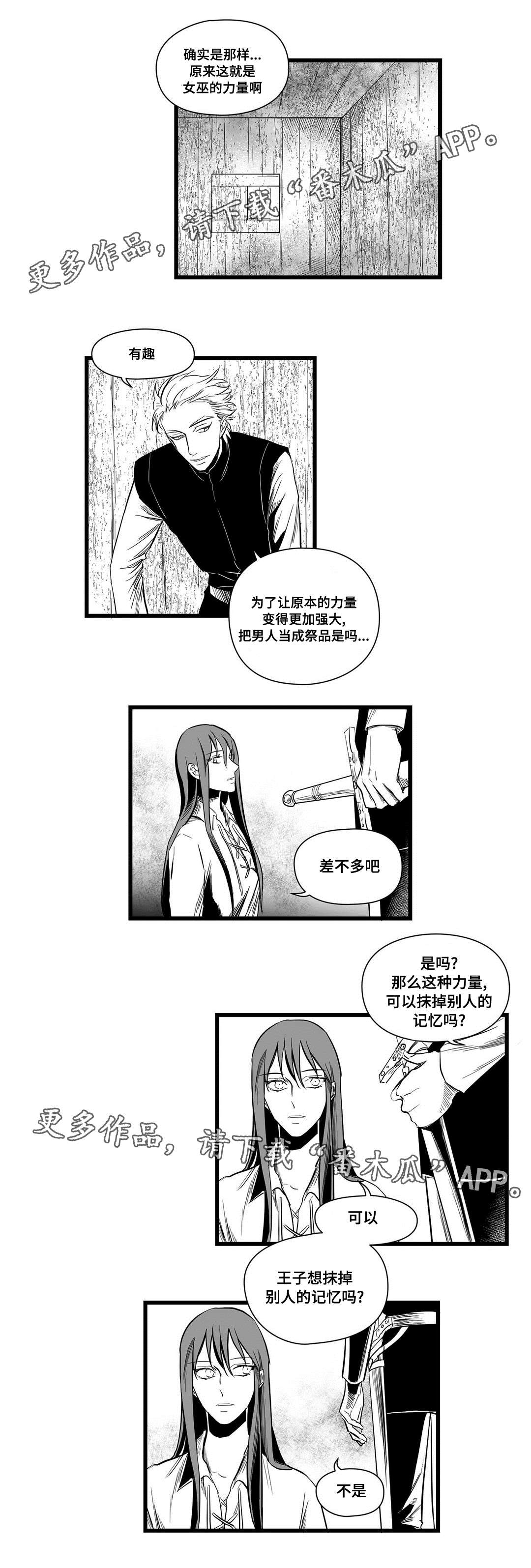 《巫师与王子》第10章真面目 第11页