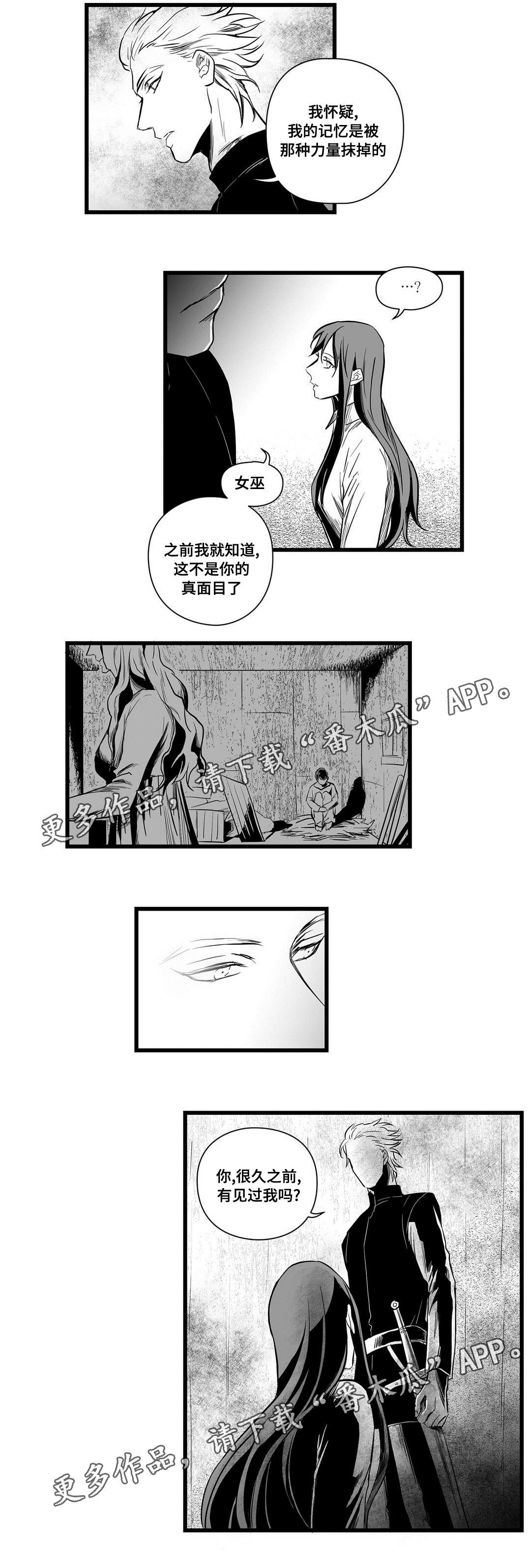 《巫师与王子》第10章真面目 第12页