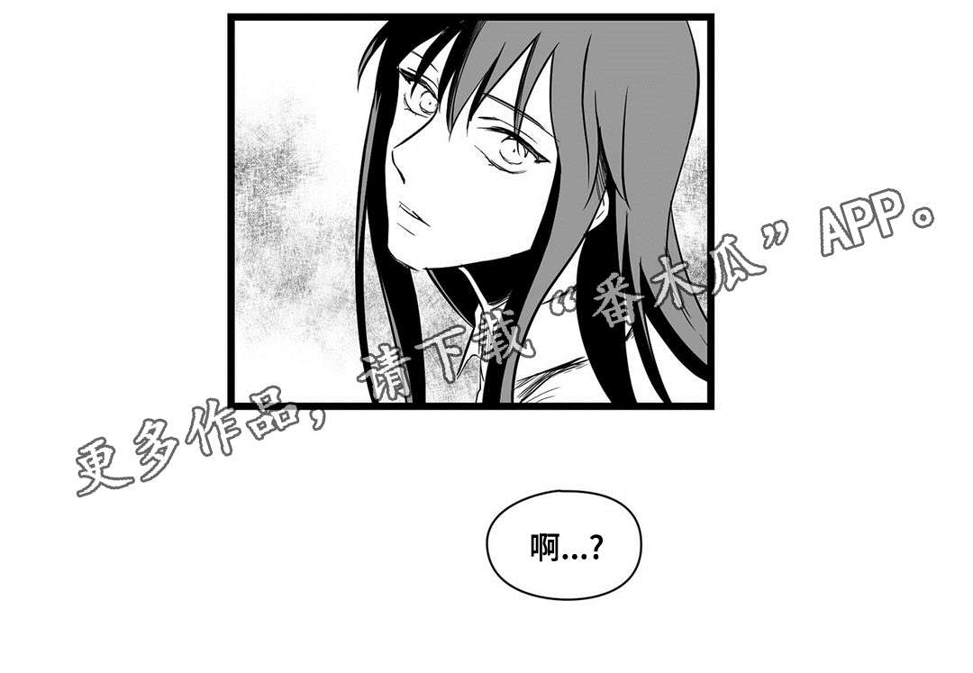 《巫师与王子》第10章真面目 第13页