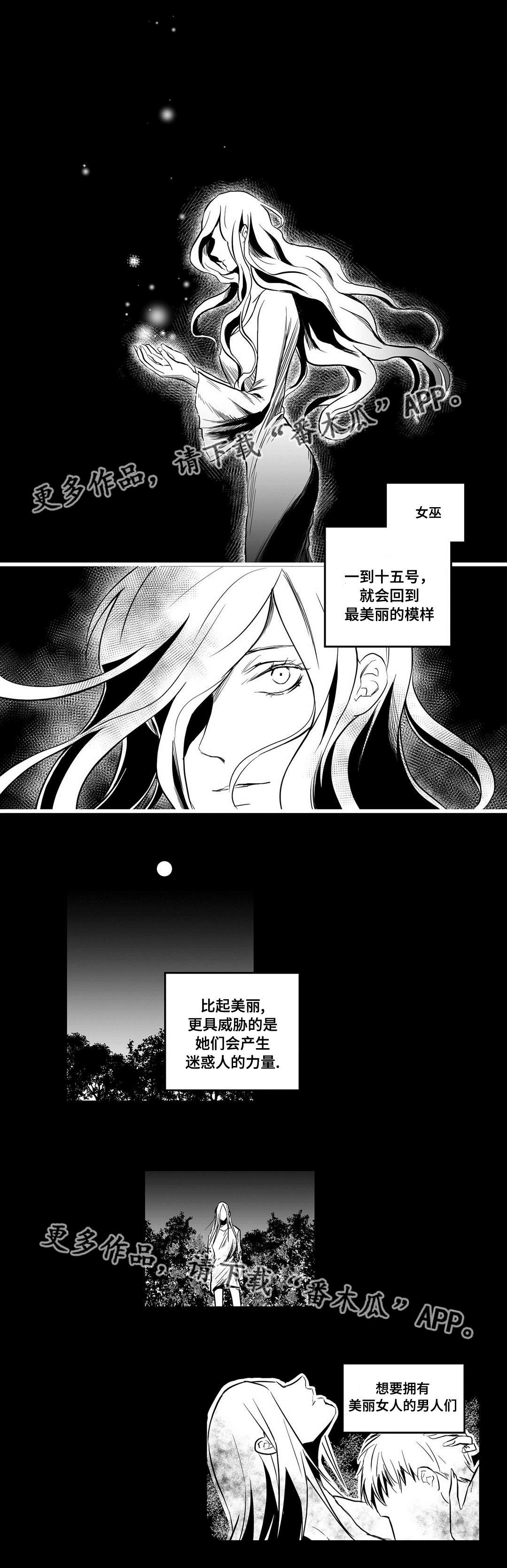 《巫师与王子》第10章真面目 第8页