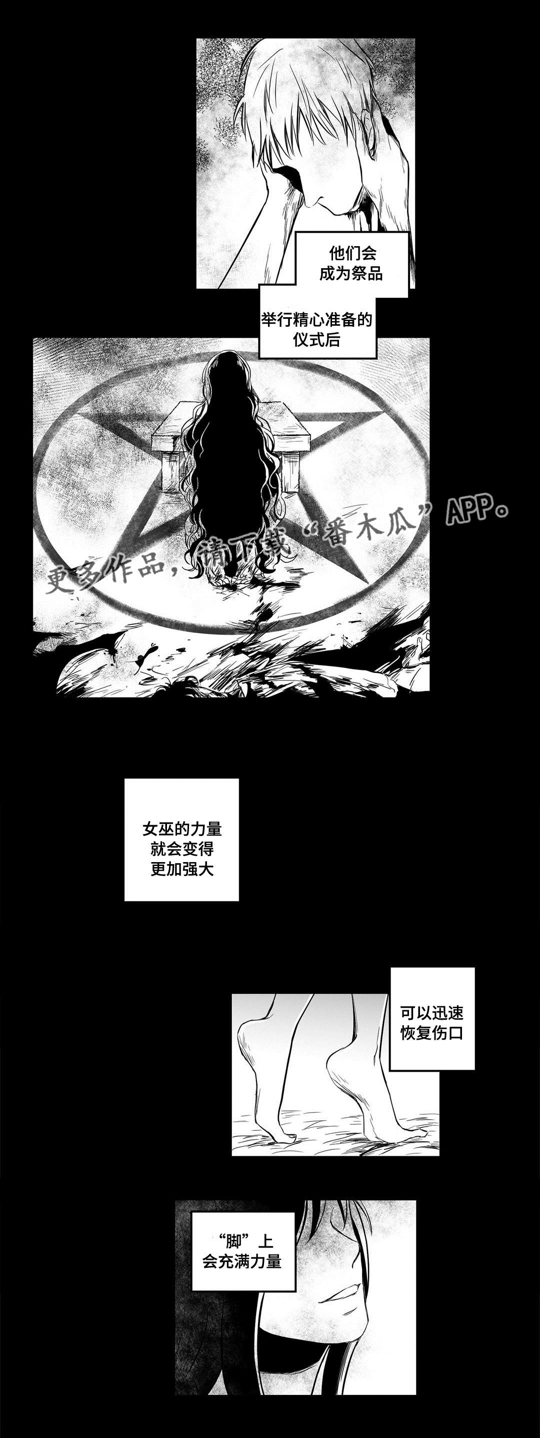 《巫师与王子》第10章真面目 第9页