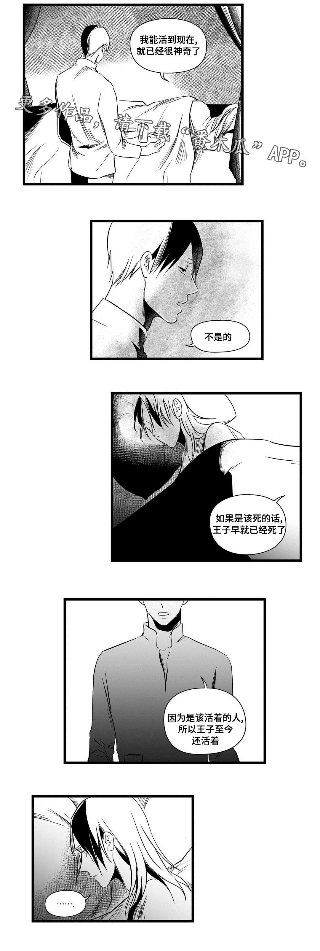 《巫师与王子》第13章四王子 第14页