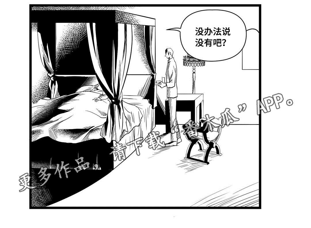 《巫师与王子》第13章四王子 第16页