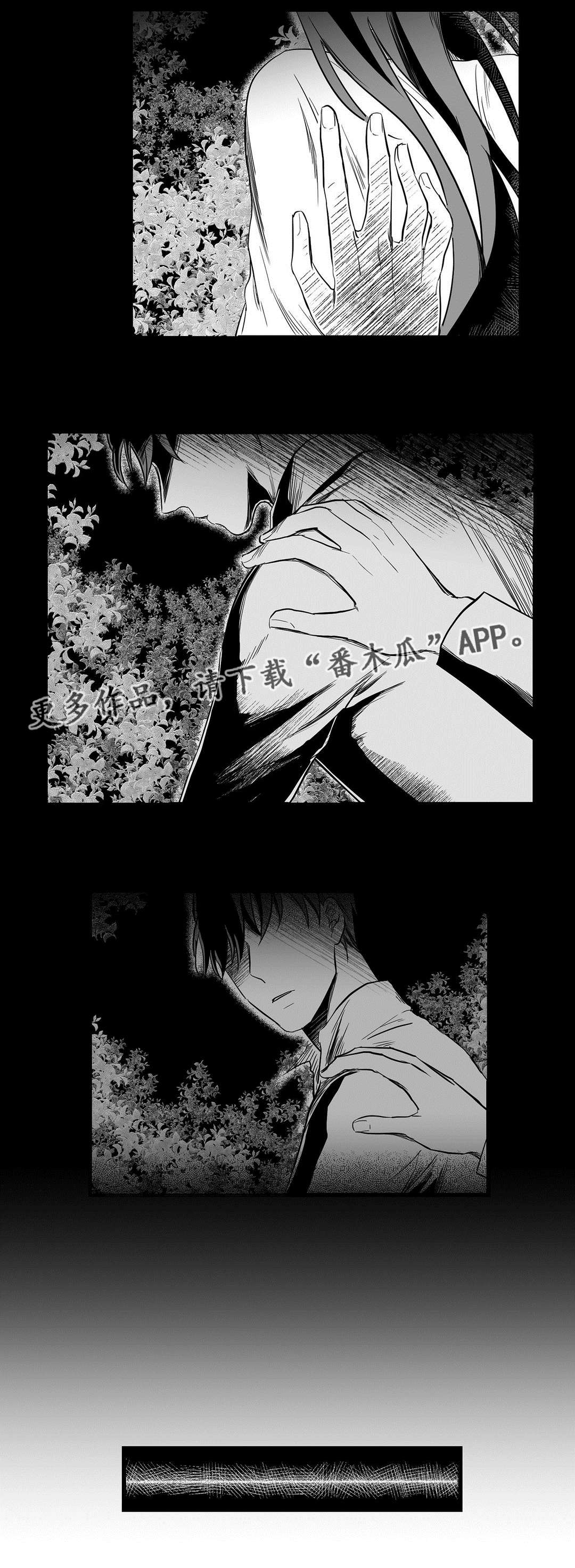 《巫师与王子》第13章四王子 第2页