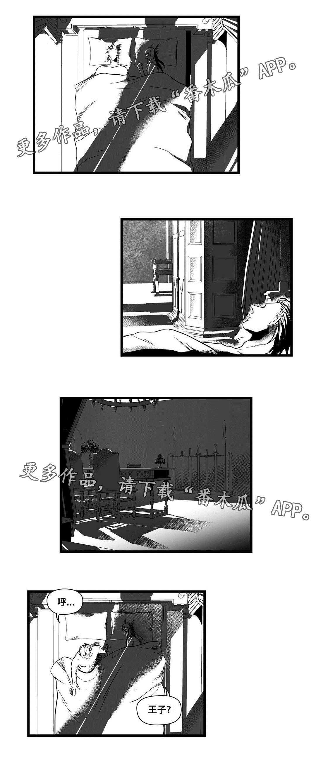 《巫师与王子》第13章四王子 第3页