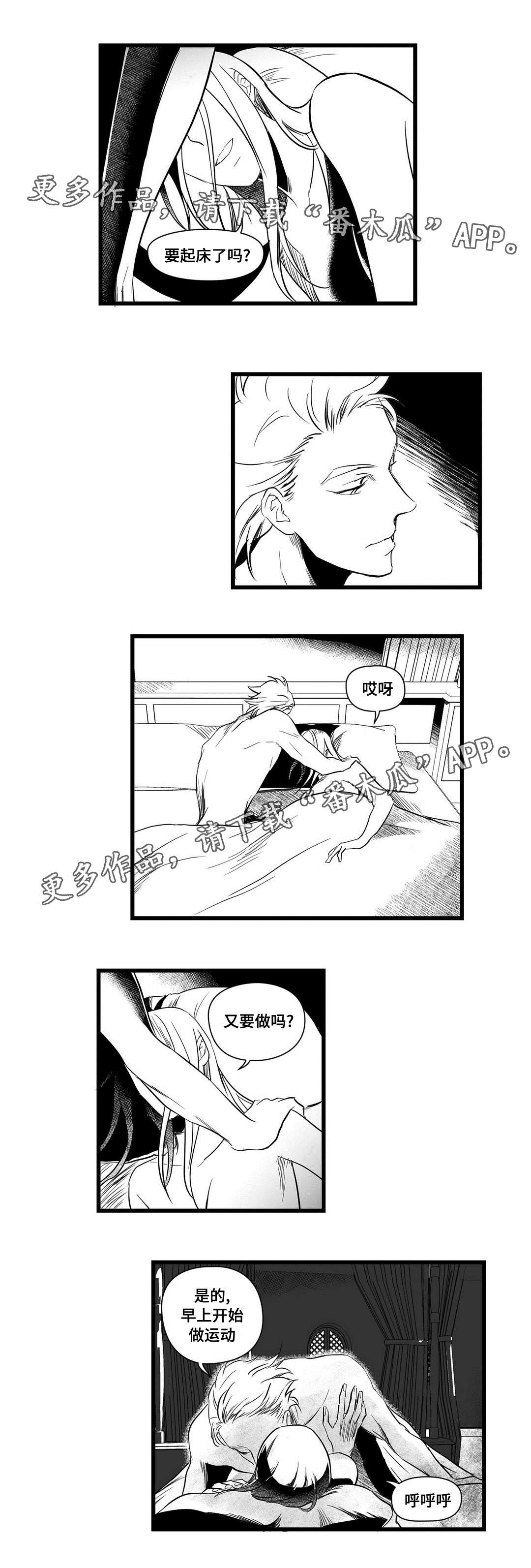 《巫师与王子》第13章四王子 第4页