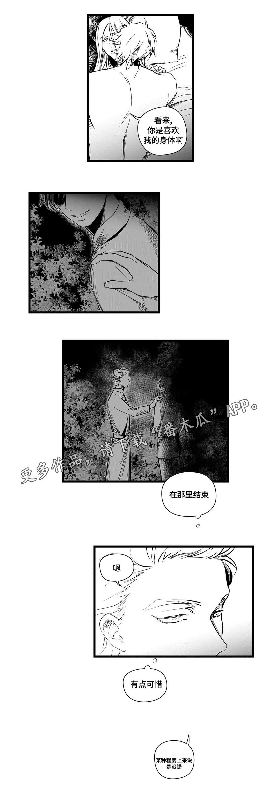 《巫师与王子》第13章四王子 第5页